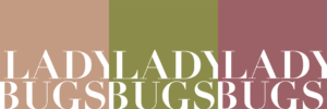 Ladybugs_logo_Fall_Set-300x100