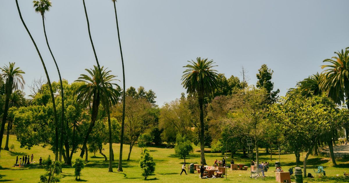 Elysian Park Picnic Areas