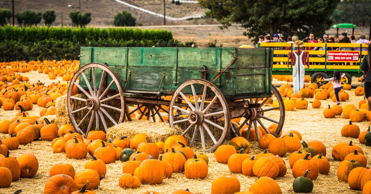 Underwood Family Farms